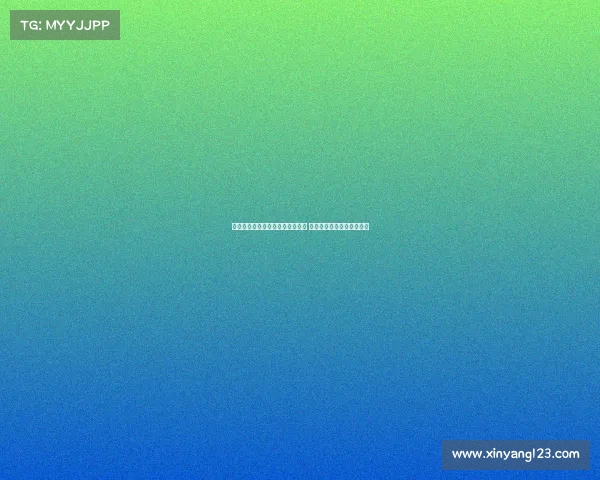 天空体育报道：维萨转会接近完成 纽卡斯尔谈判进入关键时刻